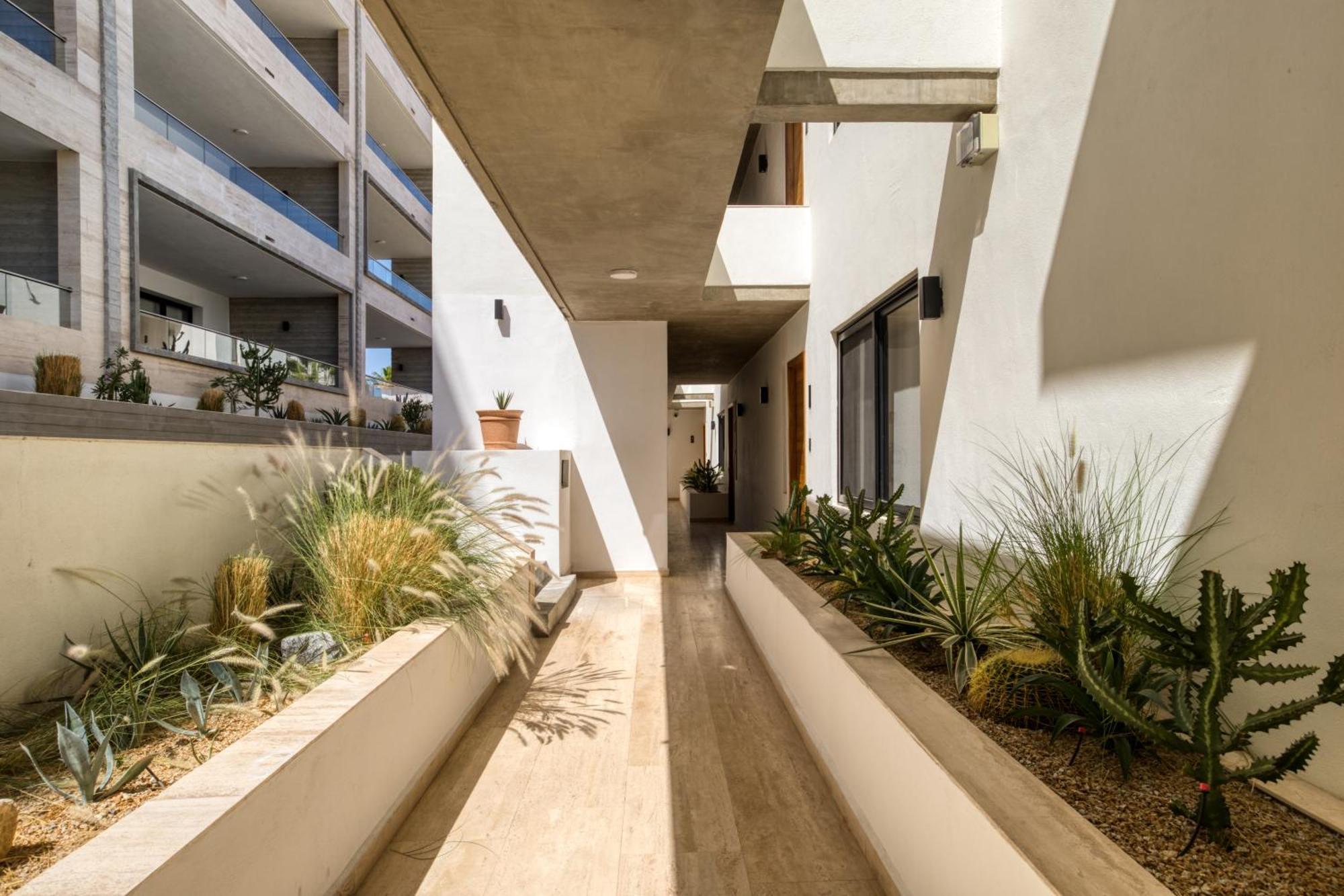 Marella Cabo Apartment San José del Cabo Exterior foto